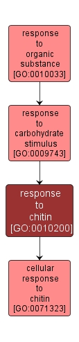 GO:0010200 - response to chitin (interactive image map)