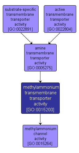 GO:0015200 - methylammonium transmembrane transporter activity (interactive image map)