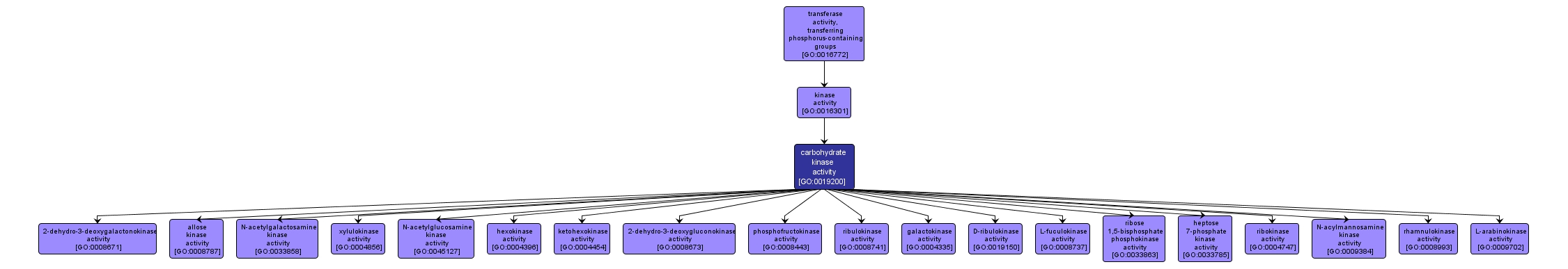 GO:0019200 - carbohydrate kinase activity (interactive image map)