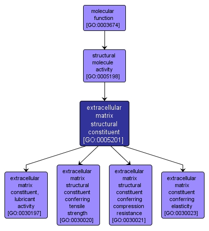 GO:0005201 - extracellular matrix structural constituent (interactive image map)