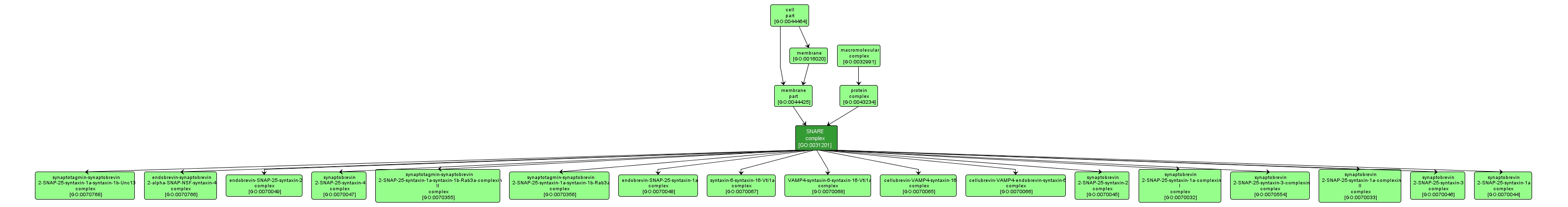 GO:0031201 - SNARE complex (interactive image map)