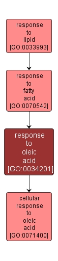 GO:0034201 - response to oleic acid (interactive image map)