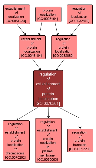 GO:0070201 - regulation of establishment of protein localization (interactive image map)