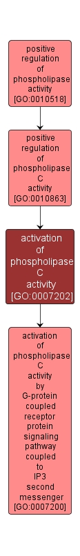 GO:0007202 - activation of phospholipase C activity (interactive image map)