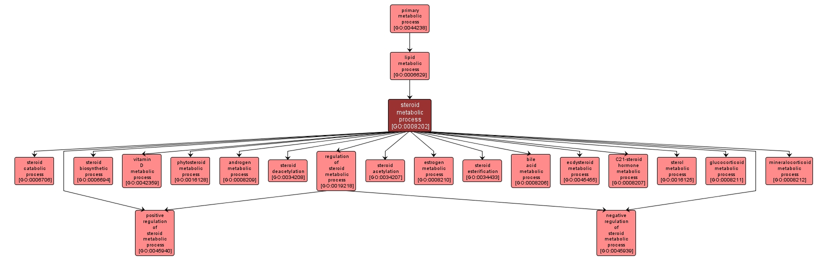 GO:0008202 - steroid metabolic process (interactive image map)