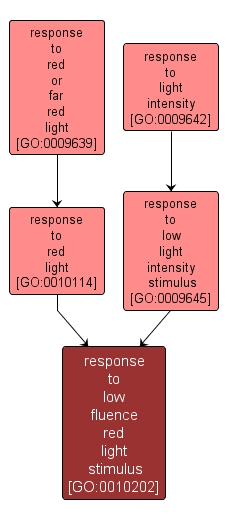 GO:0010202 - response to low fluence red light stimulus (interactive image map)