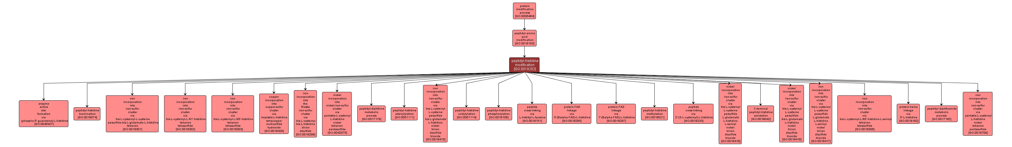 GO:0018202 - peptidyl-histidine modification (interactive image map)