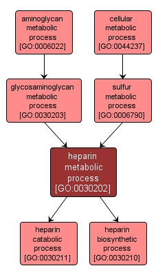 GO:0030202 - heparin metabolic process (interactive image map)