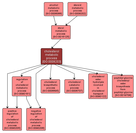 GO:0008203 - cholesterol metabolic process (interactive image map)