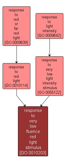 GO:0010203 - response to very low fluence red light stimulus (interactive image map)