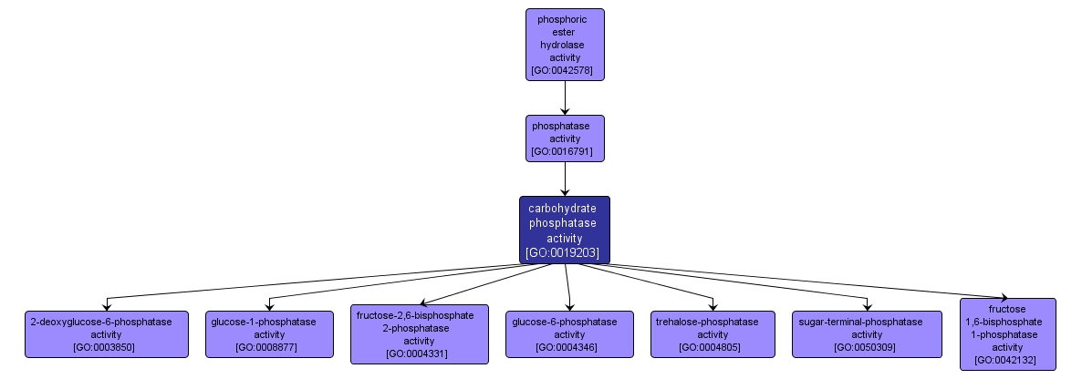 GO:0019203 - carbohydrate phosphatase activity (interactive image map)