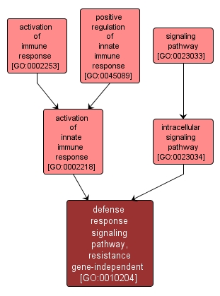 GO:0010204 - defense response signaling pathway, resistance gene-independent (interactive image map)