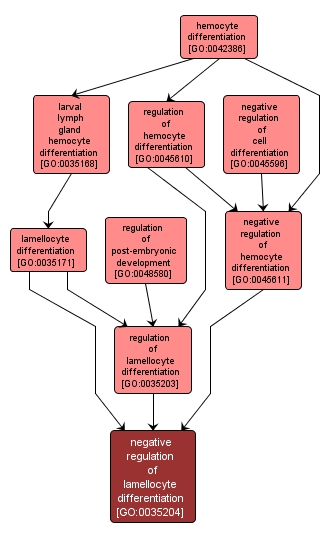 GO:0035204 - negative regulation of lamellocyte differentiation (interactive image map)