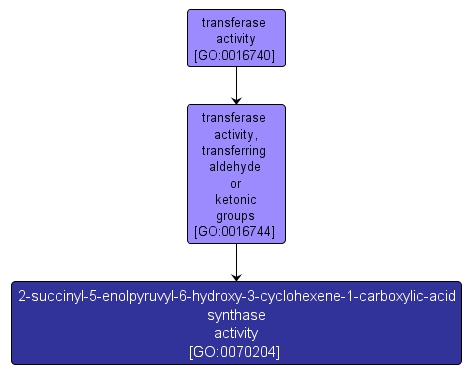 GO:0070204 - 2-succinyl-5-enolpyruvyl-6-hydroxy-3-cyclohexene-1-carboxylic-acid synthase activity (interactive image map)