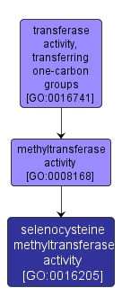 GO:0016205 - selenocysteine methyltransferase activity (interactive image map)