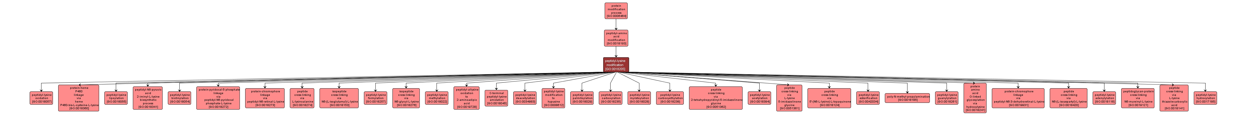 GO:0018205 - peptidyl-lysine modification (interactive image map)