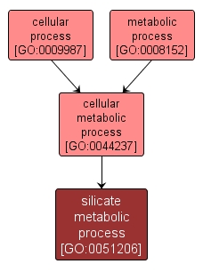 GO:0051206 - silicate metabolic process (interactive image map)