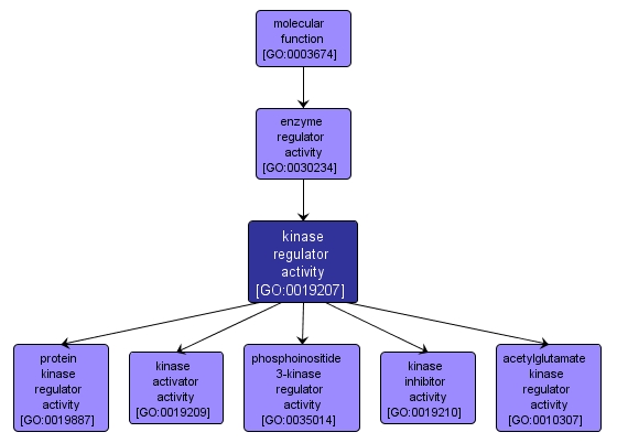 GO:0019207 - kinase regulator activity (interactive image map)