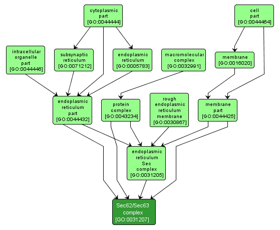 GO:0031207 - Sec62/Sec63 complex (interactive image map)