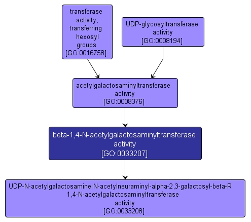 GO:0033207 - beta-1,4-N-acetylgalactosaminyltransferase activity (interactive image map)