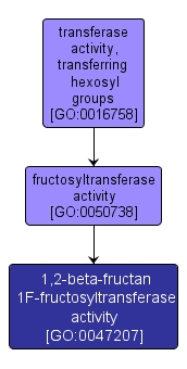 GO:0047207 - 1,2-beta-fructan 1F-fructosyltransferase activity (interactive image map)