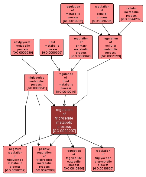 GO:0090207 - regulation of triglyceride metabolic process (interactive image map)