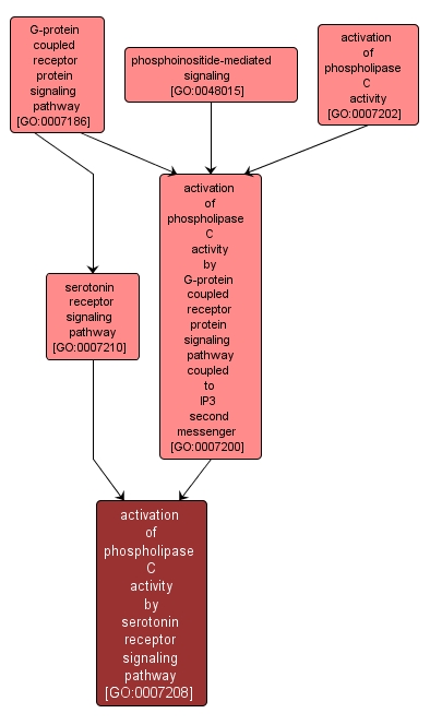 GO:0007208 - activation of phospholipase C activity by serotonin receptor signaling pathway (interactive image map)