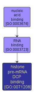 GO:0071208 - histone pre-mRNA DCP binding (interactive image map)