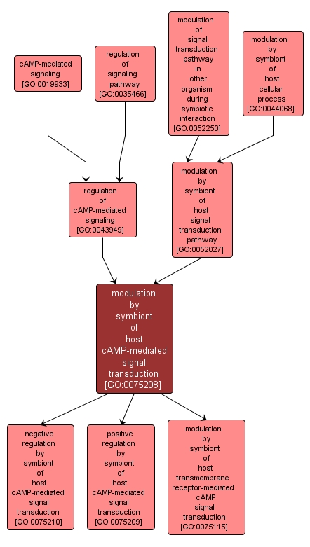 GO:0075208 - modulation by symbiont of host cAMP-mediated signal transduction (interactive image map)