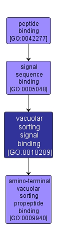 GO:0010209 - vacuolar sorting signal binding (interactive image map)