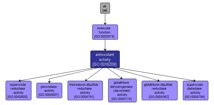 GO:0016209 - antioxidant activity (interactive image map)