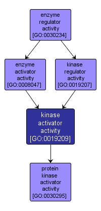GO:0019209 - kinase activator activity (interactive image map)