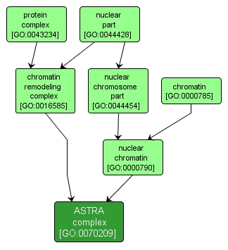 GO:0070209 - ASTRA complex (interactive image map)