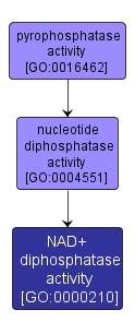 GO:0000210 - NAD+ diphosphatase activity (interactive image map)