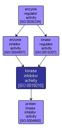 GO:0019210 - kinase inhibitor activity (interactive image map)