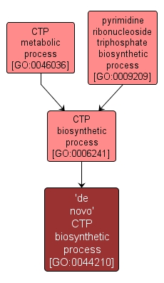 GO:0044210 - 'de novo' CTP biosynthetic process (interactive image map)