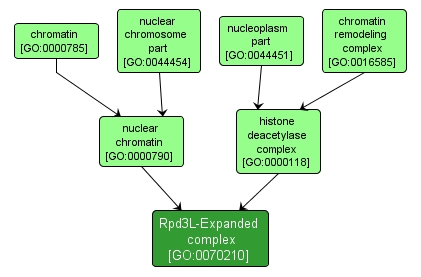 GO:0070210 - Rpd3L-Expanded complex (interactive image map)