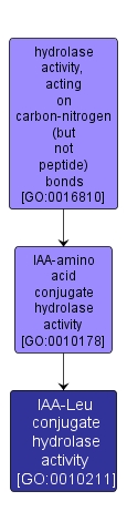 GO:0010211 - IAA-Leu conjugate hydrolase activity (interactive image map)