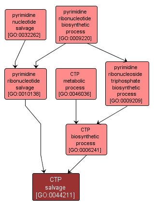 GO:0044211 - CTP salvage (interactive image map)