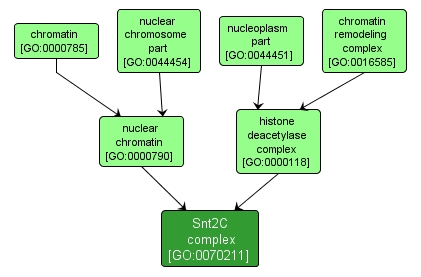 GO:0070211 - Snt2C complex (interactive image map)