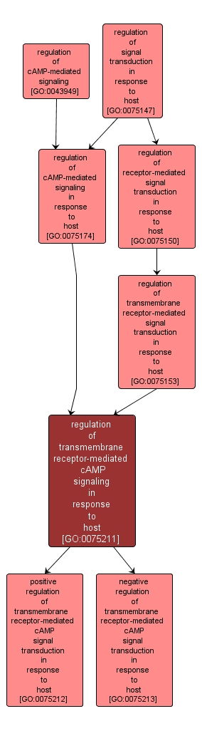 GO:0075211 - regulation of transmembrane receptor-mediated cAMP signaling in response to host (interactive image map)