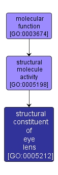 GO:0005212 - structural constituent of eye lens (interactive image map)