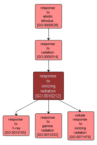 GO:0010212 - response to ionizing radiation (interactive image map)