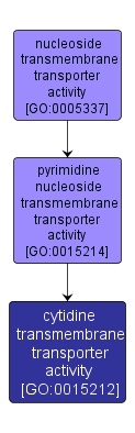 GO:0015212 - cytidine transmembrane transporter activity (interactive image map)