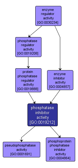 GO:0019212 - phosphatase inhibitor activity (interactive image map)
