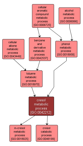 GO:0042212 - cresol metabolic process (interactive image map)