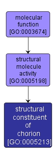 GO:0005213 - structural constituent of chorion (interactive image map)