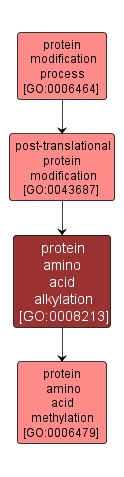 GO:0008213 - protein amino acid alkylation (interactive image map)