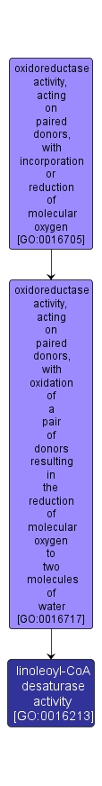 GO:0016213 - linoleoyl-CoA desaturase activity (interactive image map)