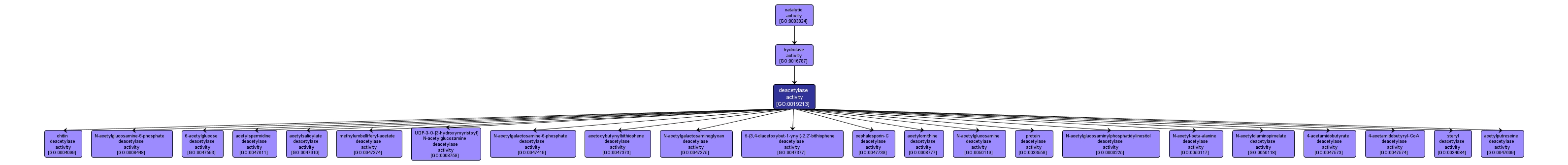 GO:0019213 - deacetylase activity (interactive image map)